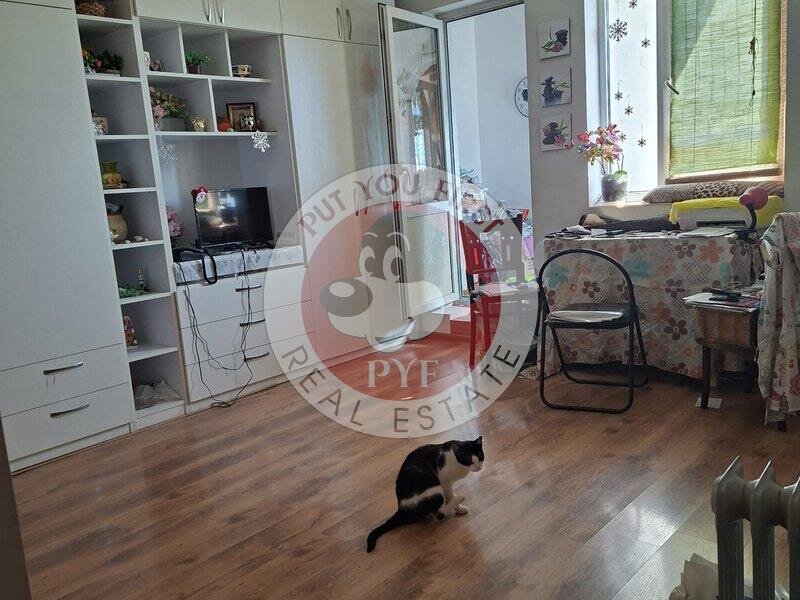 Facultatea artelor | Studio | 44mp | Semidec | B12089