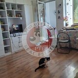 Facultatea artelor | Studio | 44mp | Semidec | B12089